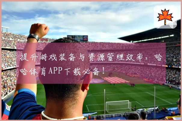 提升游戏装备与资源管理效率，哈哈体育APP下载必备！