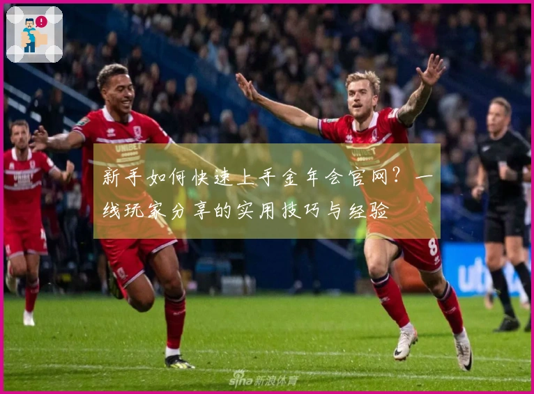 新手如何快速上手金年会官网？一线玩家分享的实用技巧与经验