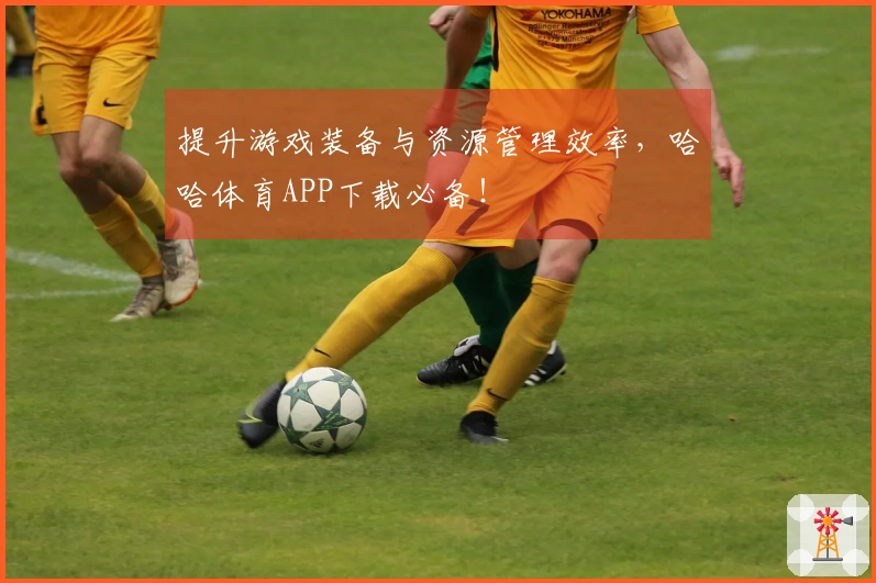 提升游戏装备与资源管理效率，哈哈体育APP下载必备！