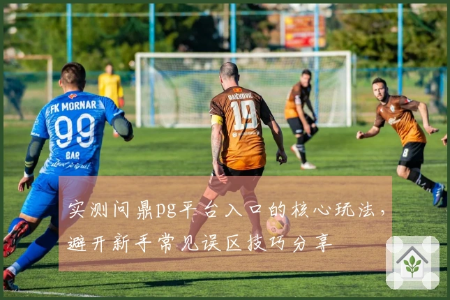 实测问鼎pg平台入口的核心玩法，避开新手常见误区技巧分享