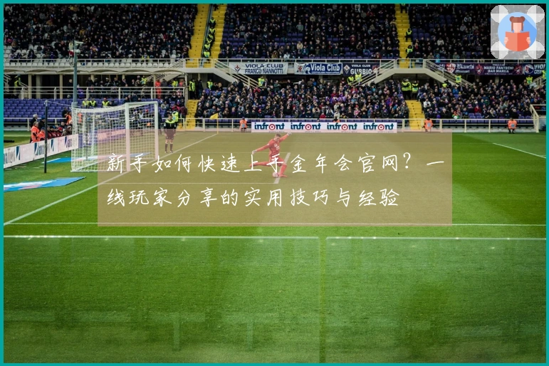 新手如何快速上手金年会官网？一线玩家分享的实用技巧与经验